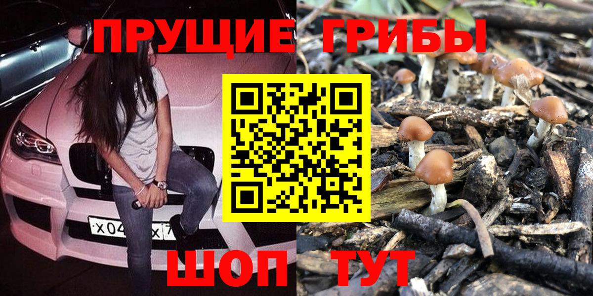 Псилоцибиновые грибы ЛСД  Вход с VPN  Можга 