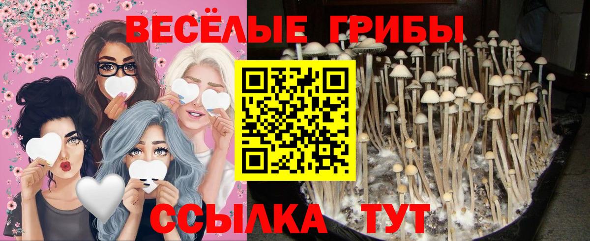 Псилоцибиновые грибы ЛСД Можга